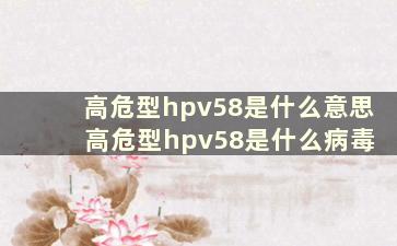 高危型hpv58是什么意思 高危型hpv58是什么病毒